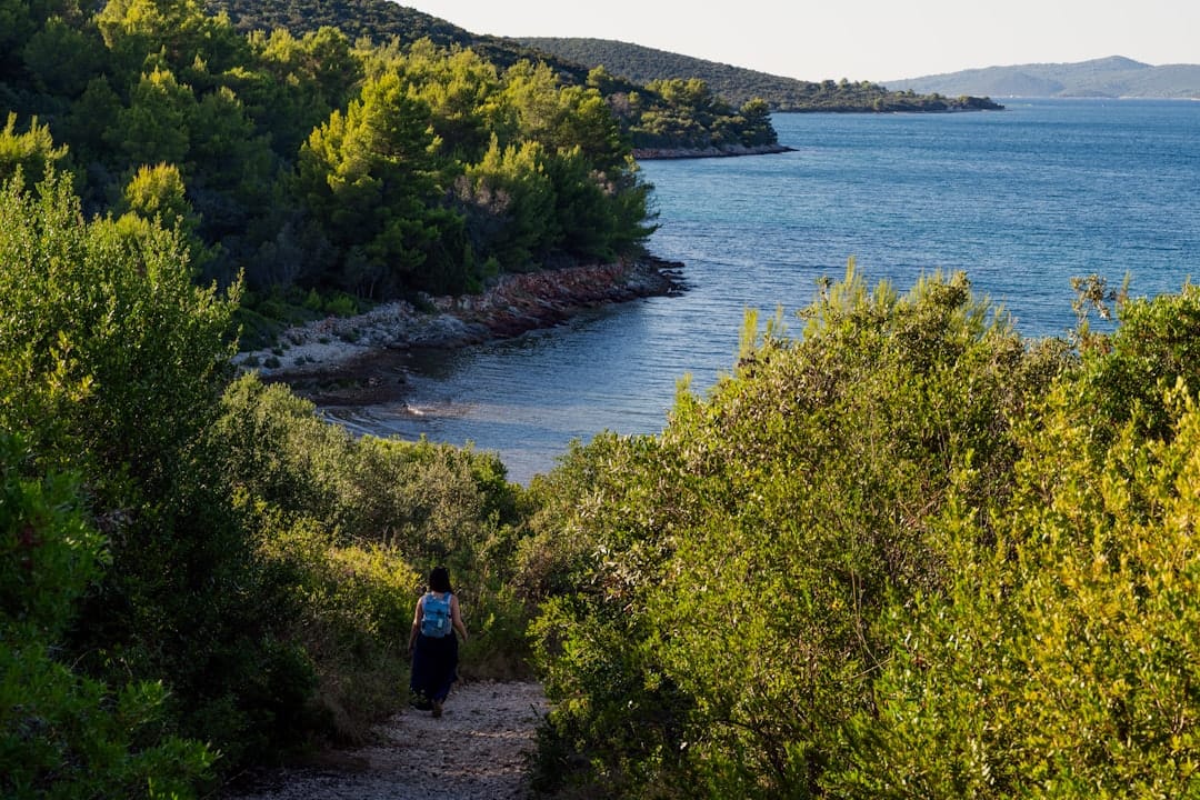 Excursions d'un jour les moins chères sur la Sunshine Coast en 2026