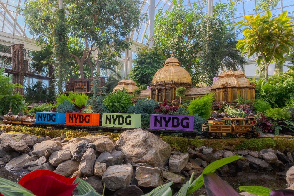 ニューヨーク植物園 - ブロンクスに広がる250エーカーの静かな憩いの場、ニューヨーク植物園の美しさを発見してください。季節ごとに色鮮やかに咲く花々、緑豊かな温室、そしてニューヨーク市に残る最後の自然林のひとつをニューヨーク植物園でお楽しみください。見事なバラ園や穏やかな水辺の景観、そして刺激的なホームガーデニングセンターもあります。ニューヨーク植物園では、有名なホリデー・トレイン・ショーも開催しており、ミニチュアのニューヨーク名所を展示する大切な伝統行事となっています。自然に触れ、くつろぎ、忘れられない体験を一年中楽しむために、ぜひニューヨーク植物園を訪れてください。 ニューヨーク植物園 - 画像 1 の 5
