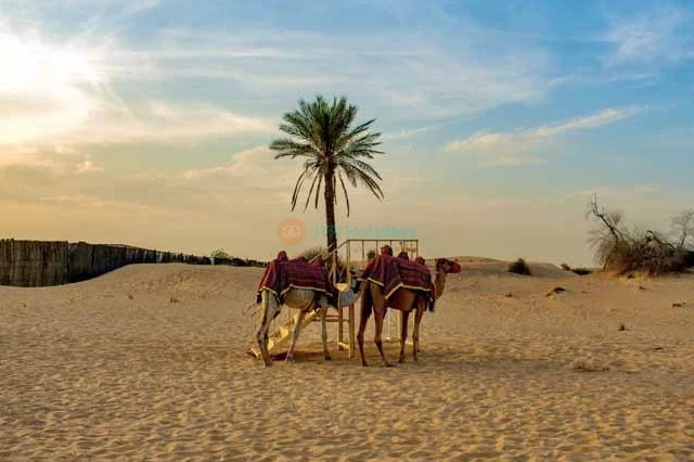 Morning Desert Safari Dubai Tour Deals & Offers - Prices | JTR Holidays - Image 8 of 8