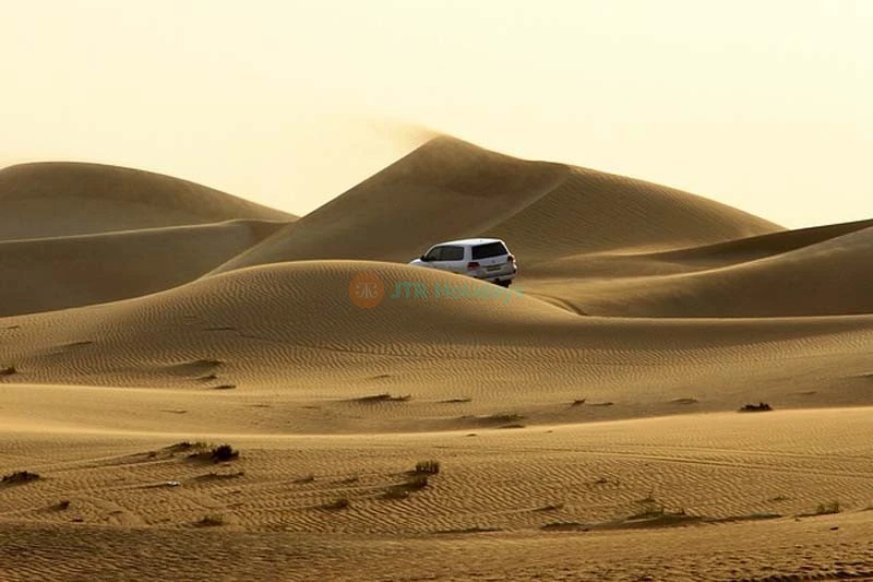 Cena nel Deserto