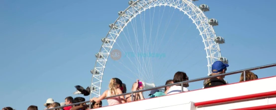 Tootbus London Hop-On Hop-Off Bus - Visit Top Attractions Easily - JTR Holidays