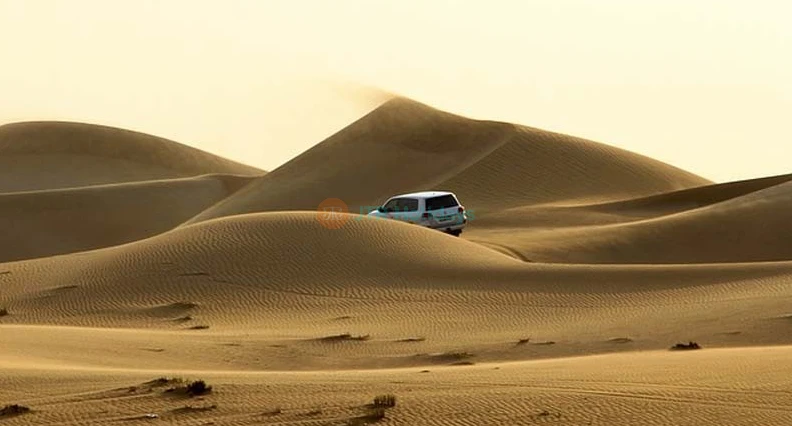 Dinner in the desert - Desert safari Experience without Dune Bashing | JTR Holidays - Image 1 of 5