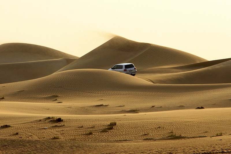 Dinner in the desert - Desert safari Experience without Dune Bashing | JTR Holidays