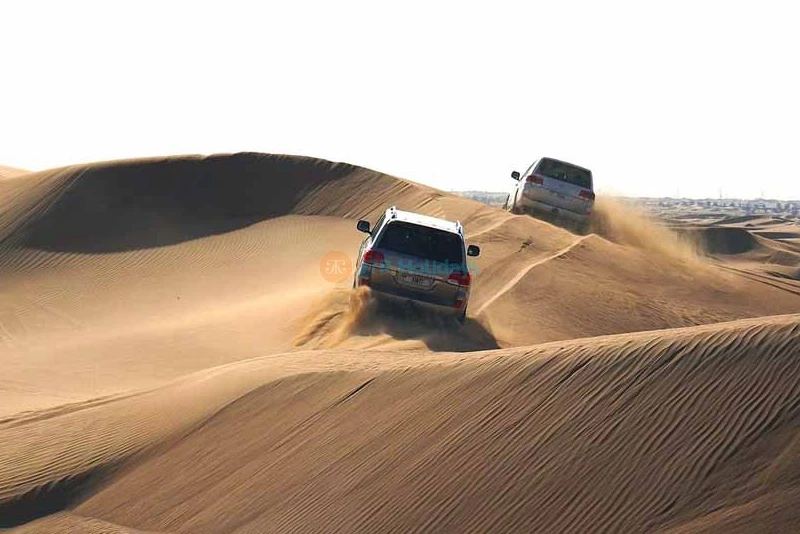 Dinner in the desert - Desert safari Experience without Dune Bashing | JTR Holidays - Image 6 of 11