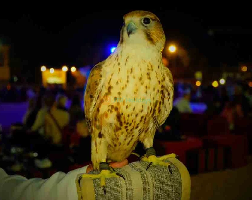 Dinner in the desert - Desert safari Experience without Dune Bashing | JTR Holidays - Image 7 of 11