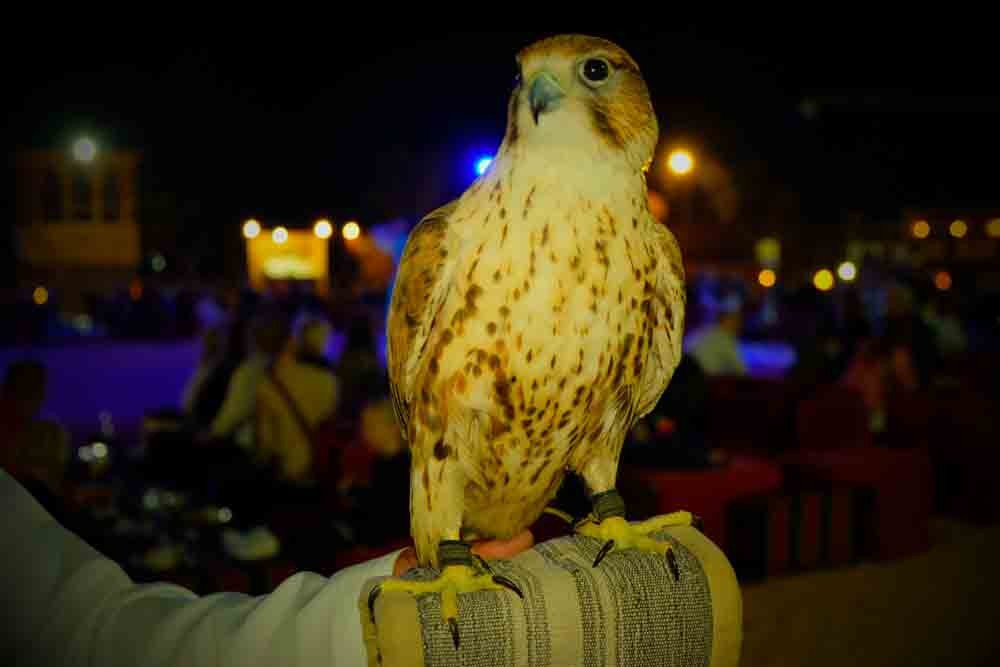 Dinner In The Desert - Image 7 of 11