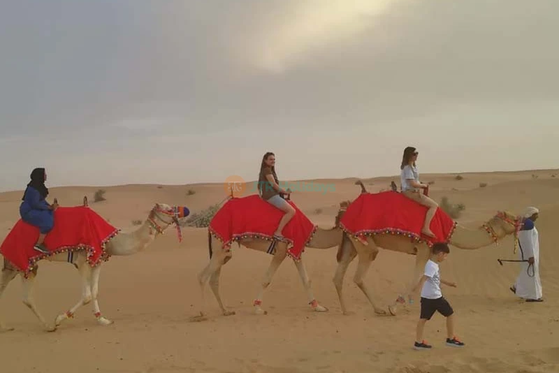 Dinner in the desert - Desert safari Experience without Dune Bashing | JTR Holidays - Image 10 of 11