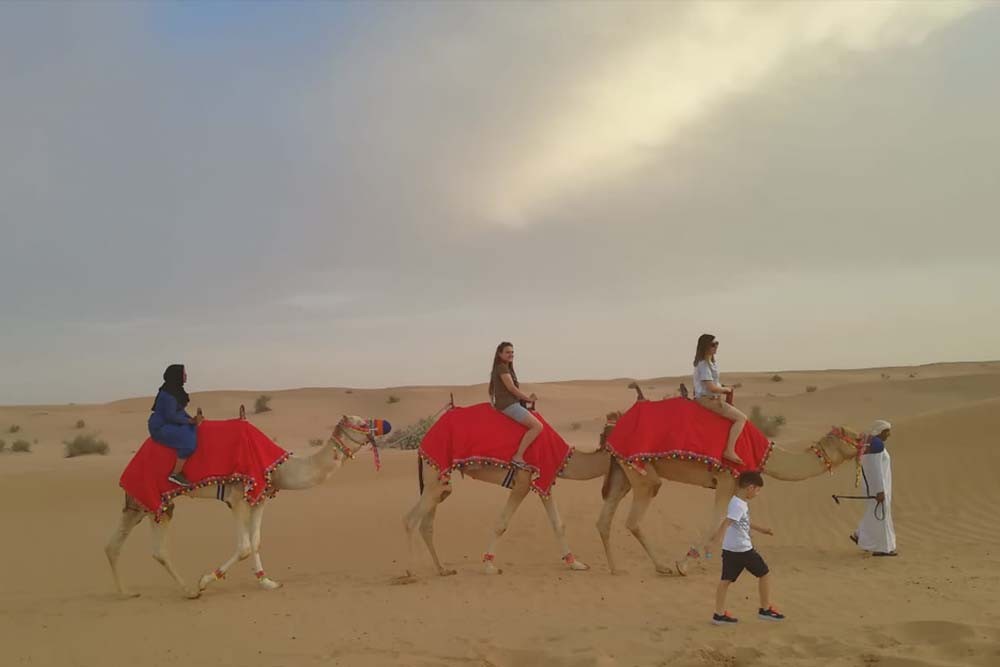 Dinner In The Desert - Image 10 of 11