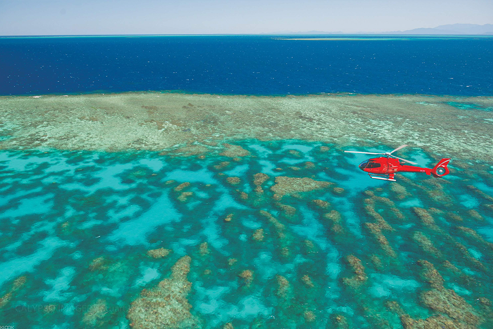 Great Barrier Reef Scenic Flight from Cairns or Port Douglas - Soar above one of the world’s natural wonders on a scenic flight over the Great Barrier Reef from Cairns or Port Douglas. Enjoy breathtaking aerial views of coral reefs, turquoise waters, and marine life. This unforgettable journey offers a unique way to experience the beauty of the reef without getting wet. Fly over iconic sites like Green Island, Arlington Reef, and more. Your expert pilot provides informative commentary during the flight. Perfect for photographers, nature lovers, or anyone short on time. Take in the vibrant colors and patterns of the reef from the sky. A must-do adventure for anyone visiting tropical North Queensland Great Barrier Reef Scenic Flight from Cairns or Port Douglas - Image 1 of 5