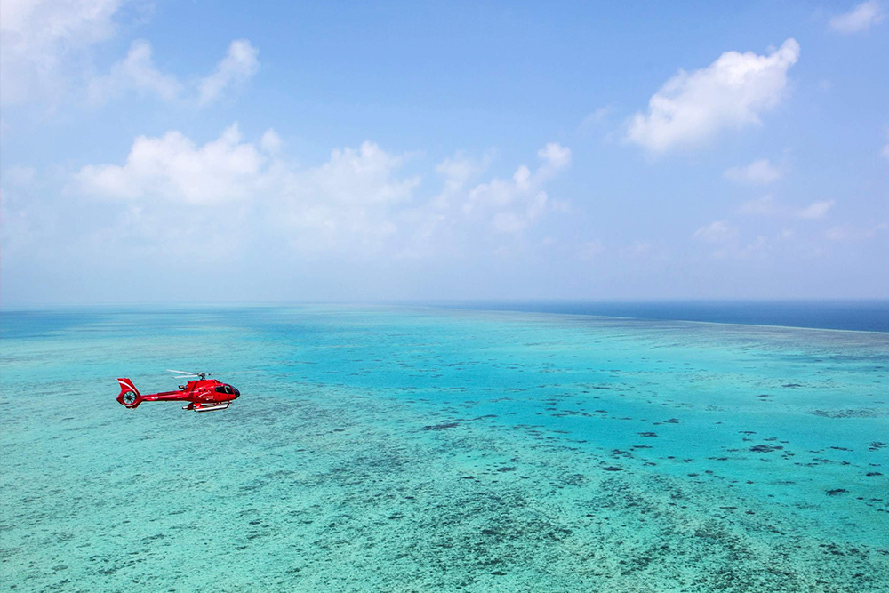 Great Barrier Reef Scenic Flight from Cairns or Port Douglas - Image 2 of 5