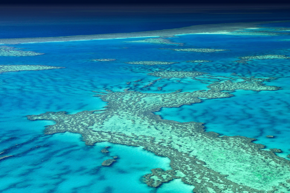 Great Barrier Reef Scenic Flight from Cairns or Port Douglas - Image 3 of 5