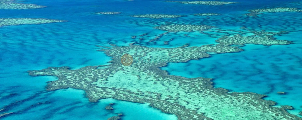 Great Barrier Reef Scenic Flight – Cairns or Port Douglas - JTR Holidays - Image 3 of 5
