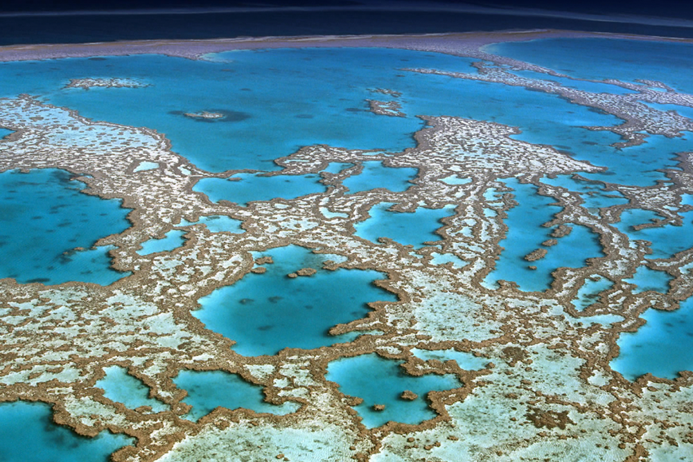 Great Barrier Reef Scenic Flight from Cairns or Port Douglas - Image 4 of 7