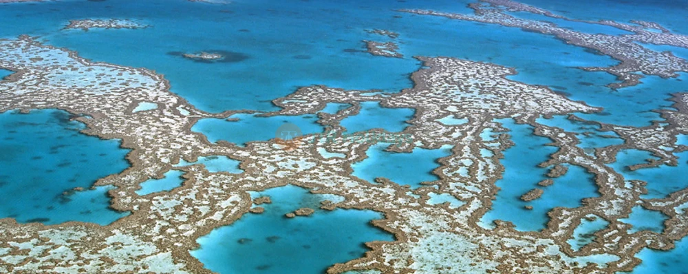 Great Barrier Reef Scenic Flight – Cairns or Port Douglas - JTR Holidays - Image 4 of 5