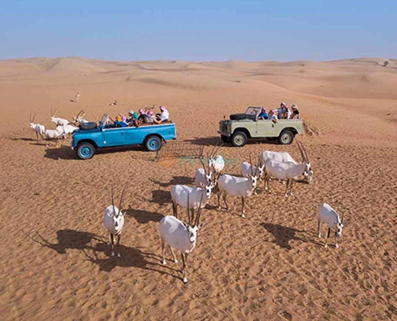 Safari Patrimonial en Land Rover Vintage - Image 2 of 8