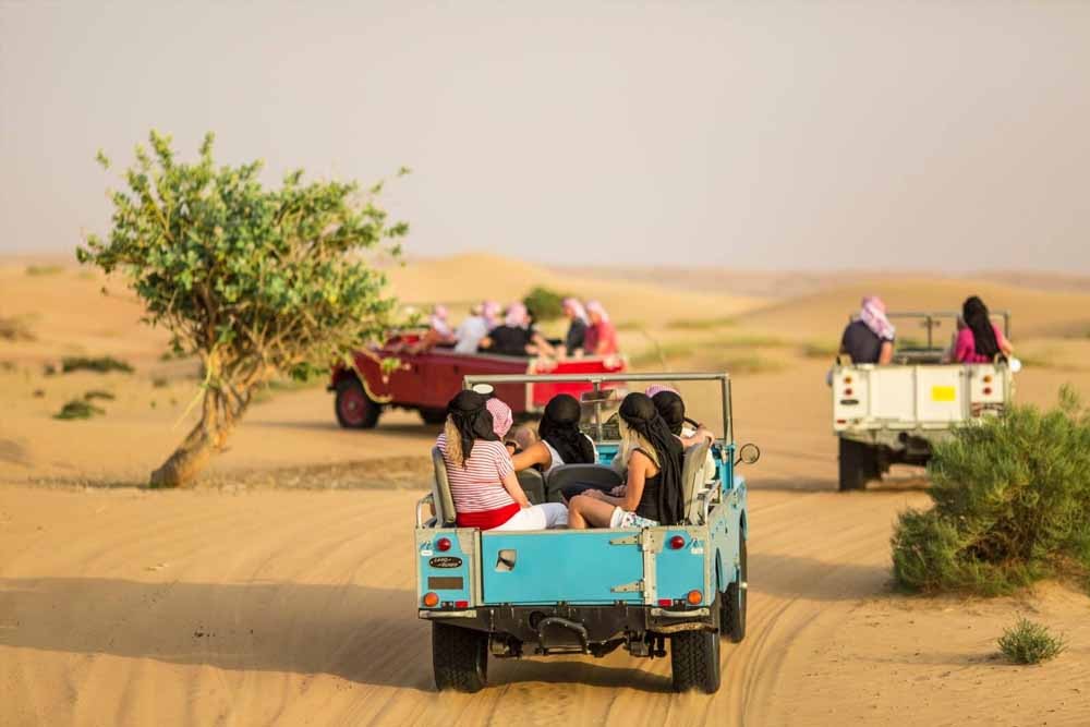 سفاري التراث بسيارة لاند روفر العتيقة - اختبر رحلة السفاري الصحراوية الحائزة على أكبر عدد من الجوائز في دبي. ارجع بالزمن واختبر دبي كما كانت في خمسينيات القرن العشرين خلال مغامرة في صحراء دبي مع مرشد مختص في المحافظة على البيئة. انطلق في جولة لمشاهدة الحياة البرية عبر محمية دبي للحفاظ على الصحراء في لاند روفر قديم مكشوف السقف. سفاري التراث بسيارة لاند روفر العتيقة - صورة 4 من 5