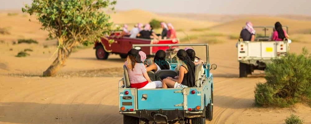 Safari Patrimonial en Land Rover Vintage - Imagen 4 de 5