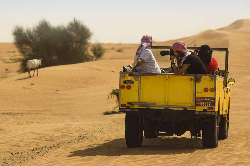Heritage Safari by Vintage Land Rover - Image 8 of 8