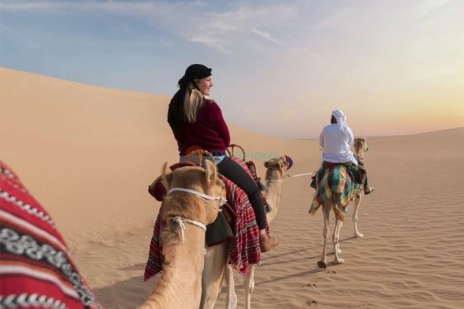 Heritage Safari by Camel