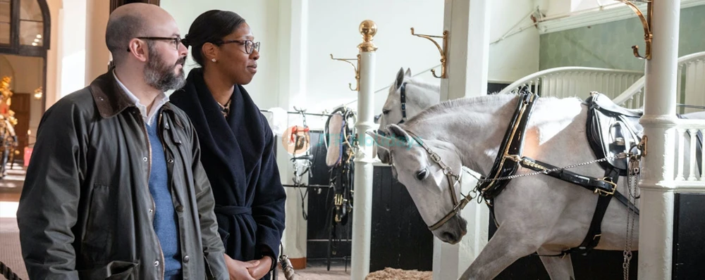 Royal Mews at Buckingham Palace - Image 4 of 5