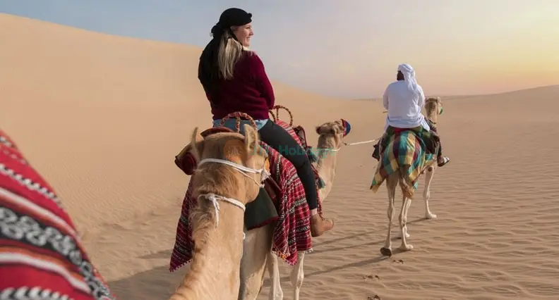 Heritage Safari by Camel - Image 1 of 8