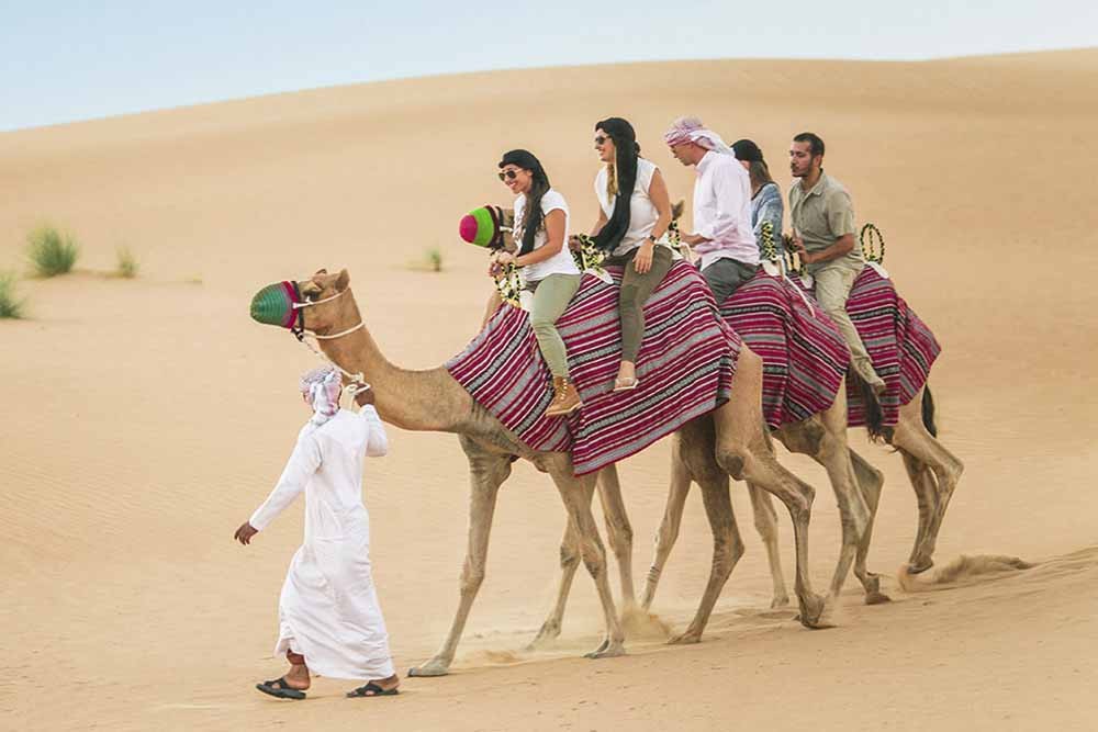 Heritage Safari by Camel - Camel Desert Safari is one of the best and the most traditional way to explore the Dubai desert. Travel across the desert on a traditional camel convoy and experience why nomadic Bedouin relied on these endearing animals. Known as the ships of the desert due to the ease at which they elegantly stride across the desert sands, camels are the oldest modes of transport in the desert. Heritage Safari by Camel - Image 3 of 5