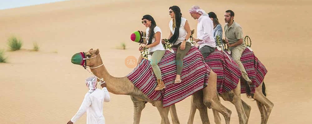 Camel Desert Safari Dubai - Enjoy Camel Ride in Dubai - JTR Holidays - Image 3 of 5