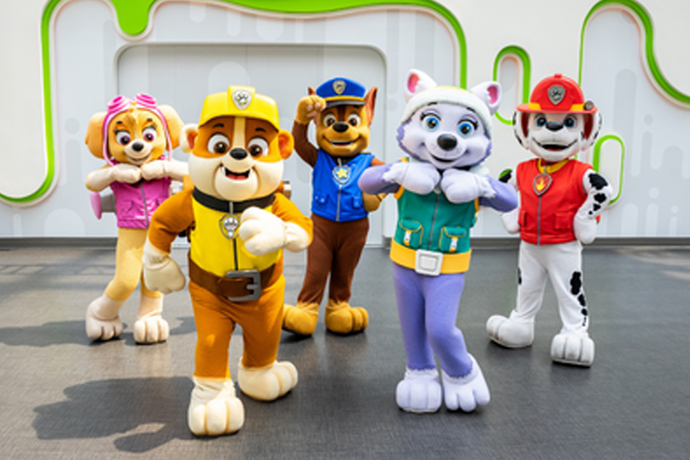 尼克儿童天地室内主题公园 - 新泽西 - 图片 4 的 5