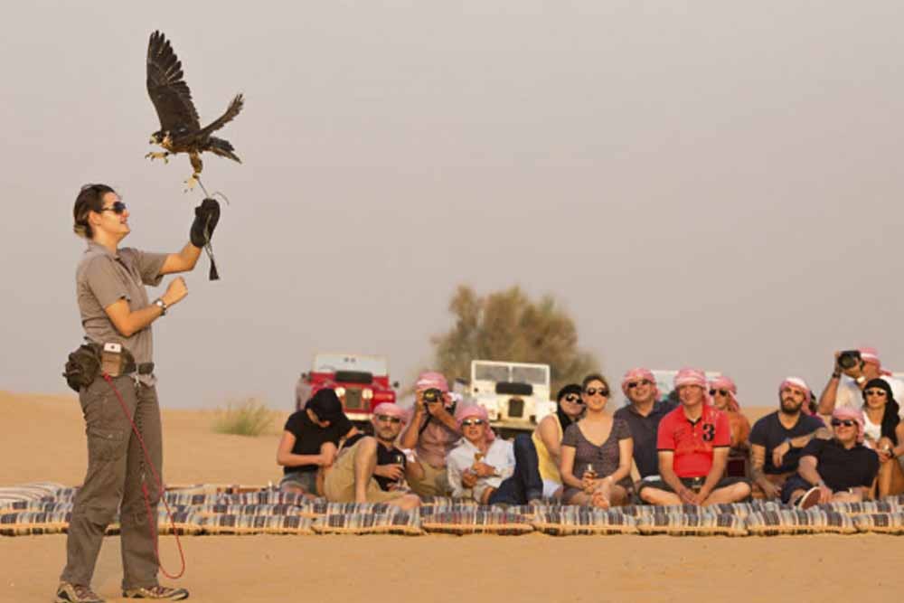 Heritage Safari by Camel - Camel Desert Safari is one of the best and the most traditional way to explore the Dubai desert. Travel across the desert on a traditional camel convoy and experience why nomadic Bedouin relied on these endearing animals. Known as the ships of the desert due to the ease at which they elegantly stride across the desert sands, camels are the oldest modes of transport in the desert. Heritage Safari by Camel - Image 5 of 5
