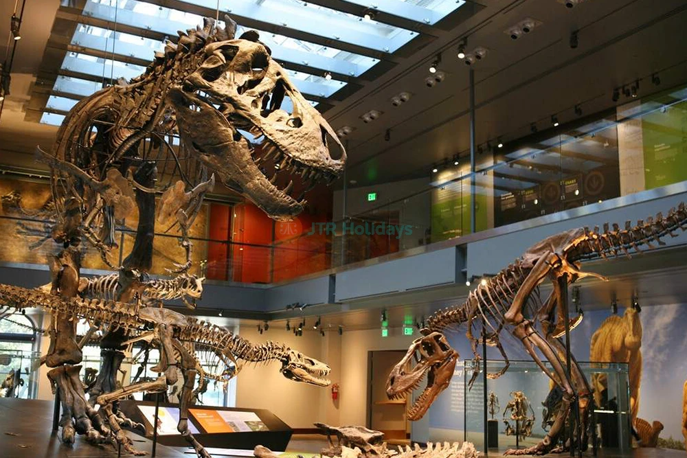 Go City Los Angeles Pass – All-Inclusive & Plus Pass with Top Attractions-JTR Holidays