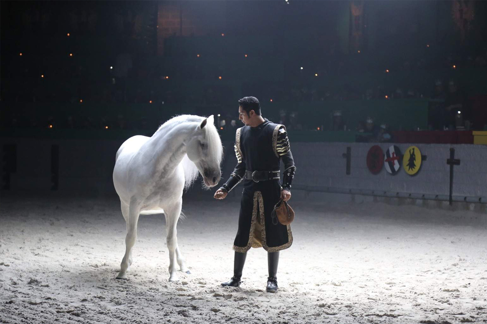 Medieval Times Dinner & Tournament Ticket - Enjoy a thrilling night at the Medieval Times Orlando Dinner and Tournament with live jousting, sword fights, and a royal feast. Book your Medieval Times Orlando ticket for a family-friendly show inside a real castle, complete with a four-course meal, knights, and medieval entertainment. Medieval Times Dinner & Tournament Ticket - Image 2 of 5