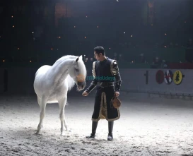 Medieval Times Orlando Dinner and Tournament Ticket | Live Show & Dinner Experience - JTR Holidays