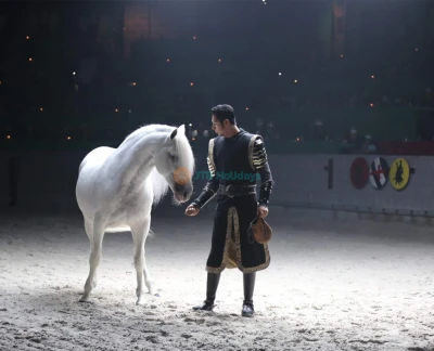 奥兰多中世纪时代晚宴及锦标赛门票 - 享受奥兰多中世纪时代晚宴及锦标赛的精彩夜晚,现场骑士比武、剑斗及皇家盛宴。预订您的奥兰多中世纪时代门票,体验适合全家观看的真实城堡表演,包含四道菜晚宴、骑士及中世纪娱乐。 奥兰多中世纪时代晚宴及锦标赛门票 - 图片 2 的 5