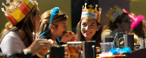 Medieval Times Orlando Dinner and Tournament Ticket | Live Show & Dinner Experience - JTR Holidays