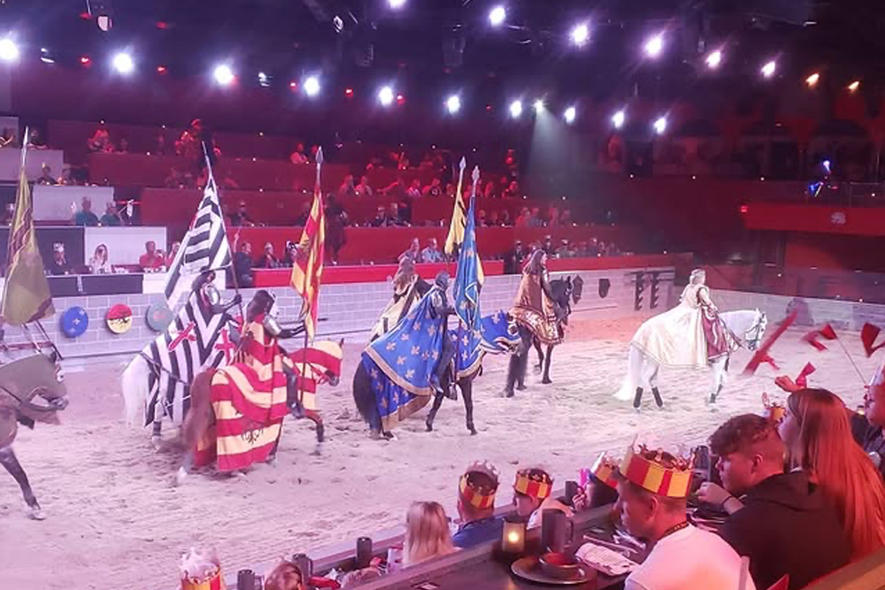 Medieval Times Dinner & Tournament Ticket - Enjoy a thrilling night at the Medieval Times Orlando Dinner and Tournament with live jousting, sword fights, and a royal feast. Book your Medieval Times Orlando ticket for a family-friendly show inside a real castle, complete with a four-course meal, knights, and medieval entertainment. Medieval Times Dinner & Tournament Ticket - Image 4 of 5