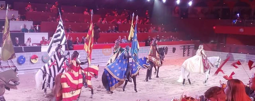 奥兰多中世纪时代晚宴及锦标赛门票 - 享受奥兰多中世纪时代晚宴及锦标赛的精彩夜晚,现场骑士比武、剑斗及皇家盛宴。预订您的奥兰多中世纪时代门票,体验适合全家观看的真实城堡表演,包含四道菜晚宴、骑士及中世纪娱乐。 奥兰多中世纪时代晚宴及锦标赛门票 - 图片 4 的 5