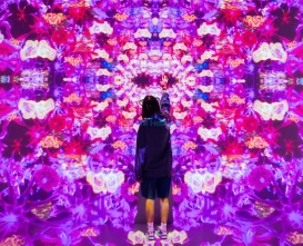 House of Hype Dubai | Ultimate Entertainment & Gaming Experience at Dubai Mall - JTR Holidays