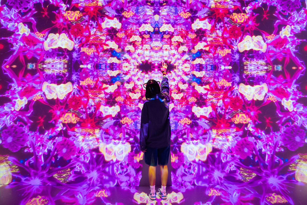 潮流之家 迪拜的 - Image 5 of 11