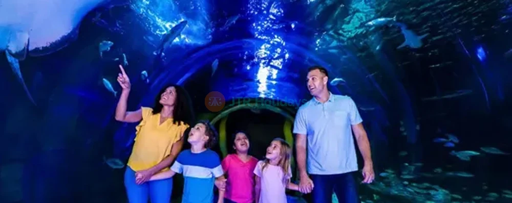 The Orlando Eye Tickets | Book Now for 20-Minute Observation Wheel Experience - JTR Holidays - Image 4 of 5