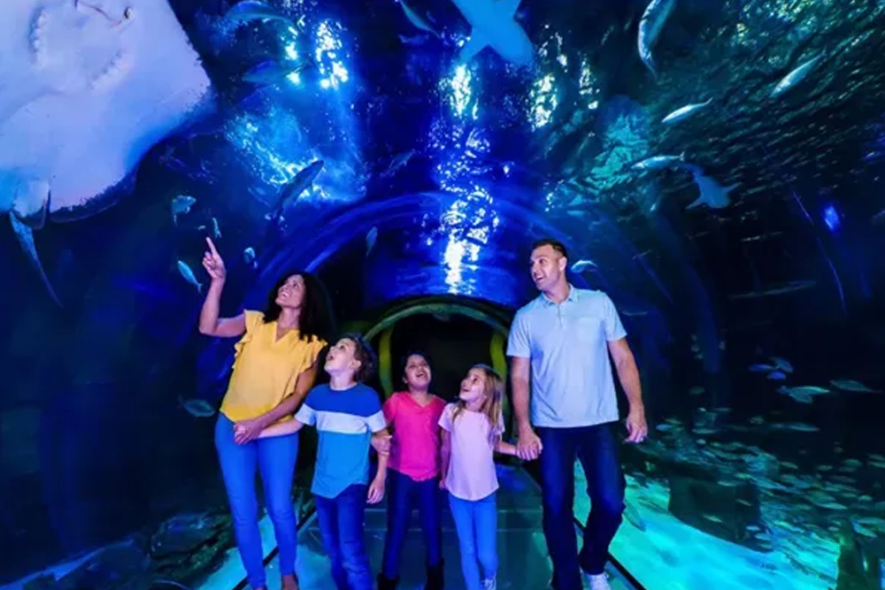 オーランド・アイのチケット - 画像 4 の 5