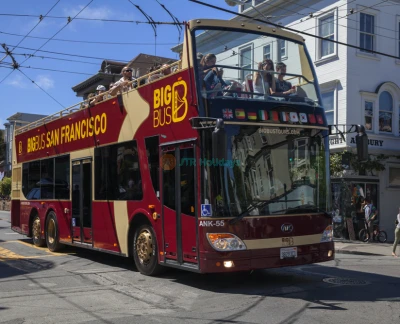 Big Bus San Francisco Hop-On Hop-Off Tours (Open-Top) - Experience the best of the city with the Big Bus San Francisco Hop-On Hop-Off Tours (Open-Top). This popular open-top bus tour in San Francisco lets you explore top landmarks like the Golden Gate Bridge, Fisherman’s Wharf, and Alcatraz at your own pace. With the Big Bus San Francisco hop-on hop-off tour, you can enjoy flexible travel, pre-recorded commentary in multiple languages, and stunning city views. Perfect for first-time visitors, the Big Bus San Francisco tour offers a fun and easy way to see the city. Book your San Francisco hop-on hop-off bus tour today for an unforgettable sightseeing adventure! Big Bus San Francisco Hop-On Hop-Off Tours (Open-Top) - Image 5 of 5