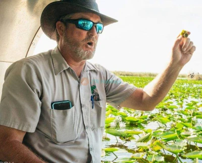 Everglades Airboat and Wildlife Show Tour from Miami Ticket - Image 2 of 5