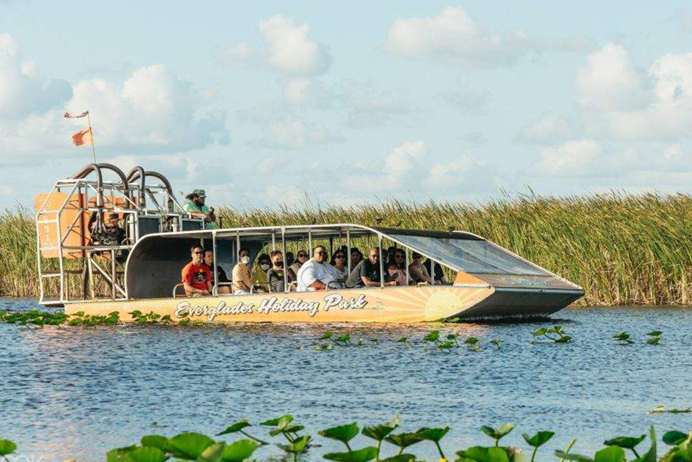 Everglades Airboat- und Wildlife-Show-Tour ab Miami Ticket - Begib dich auf die Miami Everglades Airboat- und Wildlife-Show-Tour. Gleite mit einem Hochgeschwindigkeits-Airboat durch Sägegras-Sümpfe, entdecke einheimische Alligatoren und Reiher und genieße anschließend eine hautnahe Wildlife-Show. Erfahre von Expertenführern alles über den Schutz der Everglades auf diesem unvergesslichen Öko-Tagesausflug. Everglades Airboat- und Wildlife-Show-Tour ab Miami Ticket - Bild 3 von 5