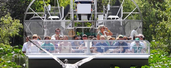 Miami Everglades Airboat & Wildlife Show - JTR Holidays
