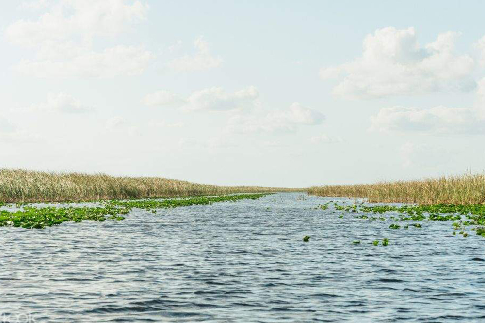 Everglades Airboat and Wildlife Show Tour from Miami Ticket - Image 6 of 6