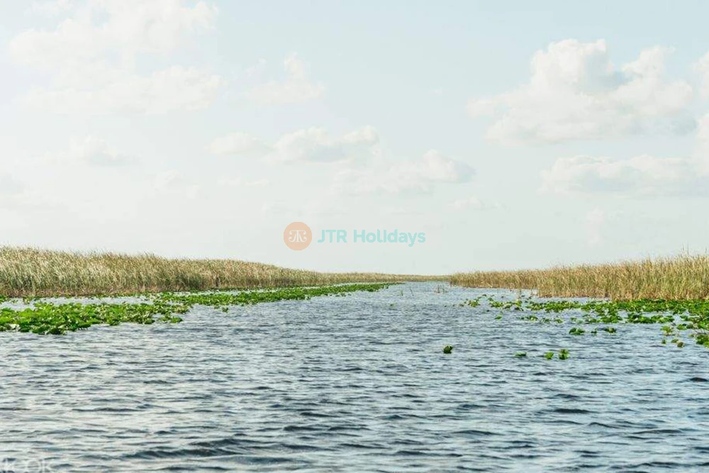 Miami Everglades Airboat & Wildlife Show - JTR Holidays