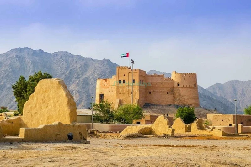 Tour della Costa Est di Fujairah