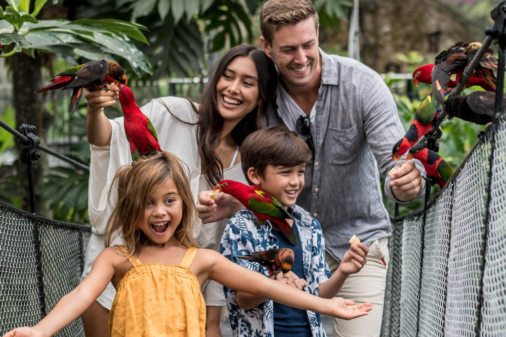 Bali Bird Park Ticket - Image 2 of 5