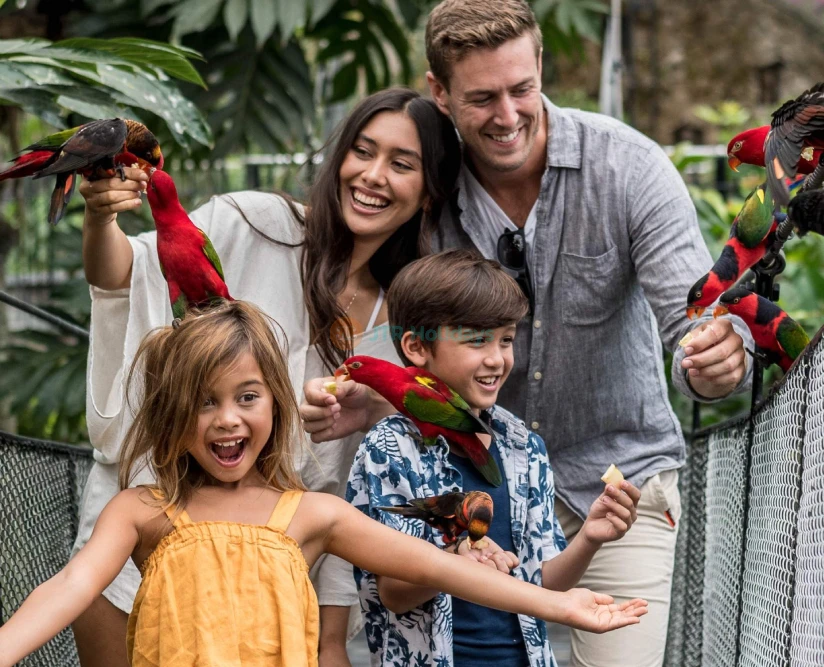 Bali Bird Park Ticket - Image 2 of 5