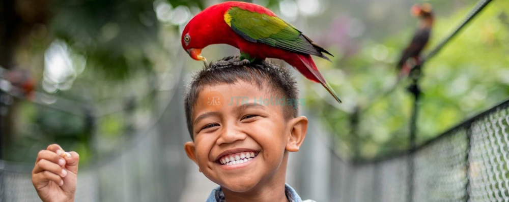 Bali Bird Park Ticket - Image 3 of 5